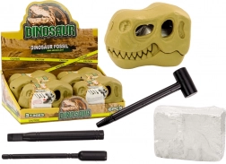 Arheološka iskapanja Dinosauri Fosili Lubanja