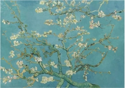 Puzzle Bademov cvijet XL 700 dijelova ANATOLIAN