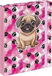 Mape za školske bilježnice A5 - Šapice