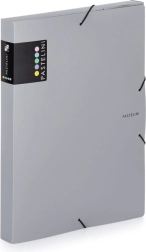 Arhivska kutija s gumicom A4 siva PASTELINI