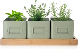 Set teglica za začinsko bilje GREENISH sa stalkom, 3 kom