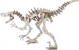 Woodcraft drvene 3D puzzle Peinonychus
