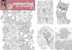 Slikanje po brojevima A4 s duo bojicama