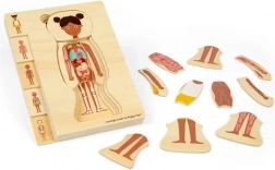 Bigjigs Toys drvene puzzle anatomije – djevojčica