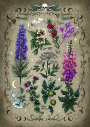 Slagalica Otrované Biljke 1000 dijelova