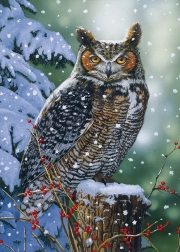 Puzzle Tihi promatrač 500 dijelova ALIPSON