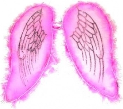 Ružičasta krila za anđela i vilu