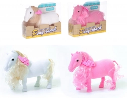 Konj s ukrasnom kopčom