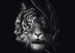 Schmidt puzzle Tigrova divljina – utjelovljenje slobode 1000 dijelova