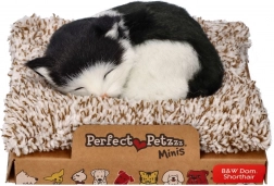 Perfect Petzzz crno-bijela mačka na ležaljci