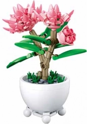 Sluban cvijet u posudi – ružičaste božuri