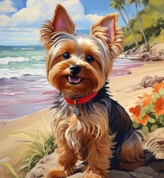Dijamantno slikanje jorkšir na plaži 30 × 40 cm