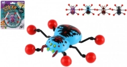 Pauk Puže Se Po Staklu