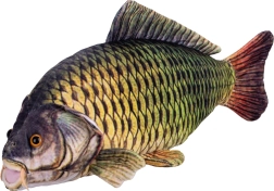 Plush Carp 52 cm