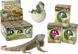 Magično jajce koje se izleže – rastući gušter 6 cm