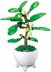 Sluban tropska biljka u posudi