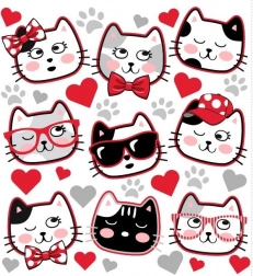 Naljepnice za peglanje s rakunima za odjeću