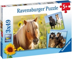Ravensburger puzzle ljupki konji 3×49 dijelova