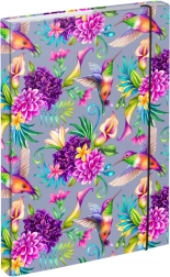 Mape za školske bilježnice A4 Kolibrić BAAGL