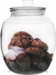 Staklena posuda za hranu 2,2 l s poklopcem