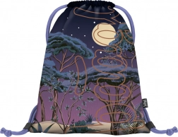 Torba na leđa Skate Night