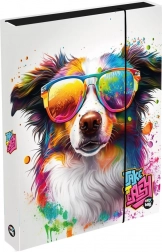 Kutija za bilježnice A4 Jumbo s psom