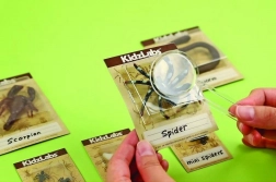 edukativni set iskopavanja – kukci