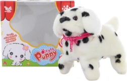 Hodajući psić dalmatiner sa saltima