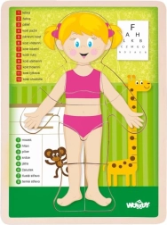 Woody drvene obostrane puzzle ljudsko tijelo - djevojčica