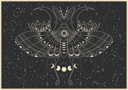 Puzzle Galaxy: Mjesečev leptir 500 dijelova