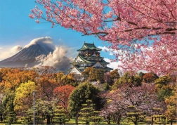 Educa Puzzle Dvorac u Ōsaki, Japan 2000 dijelova