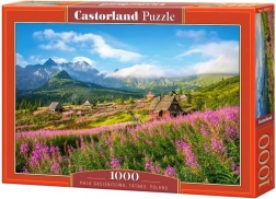 Puzzle 1000 dijelova Hala Gąsienicowa, Tatry, Poljska