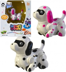 Pas koji vozi po nacrtanoj crti