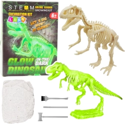 Arheološki set – svjetleći kostur dinosaura s alatima
