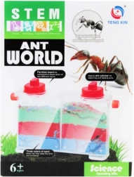 kreativni set – svijet mrava