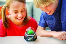 Obrazovni set za uzgoj kristala 4M - Crveni kristali