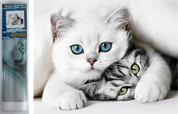 Dijamantno slikanje Mačja tajna 30 × 40 cm Norimpex