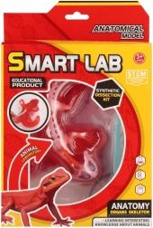 Znanstveni anatomski set – gušter