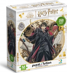 Puzzle DODO Harry Potter: Mladi čarobnjak 250 komada