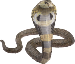 Metalne 3D puzzle COBRA – set za sastavljanje METAL EARTH