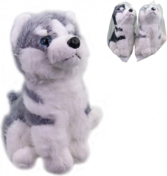Plišani psić Husky 25 cm