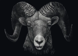 Puzzle Dominacija Ovna: Utjelovljenje vatre 1000 dijelova SCHMIDT