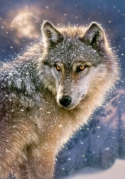 puzzle 500 dijelova lone wolf