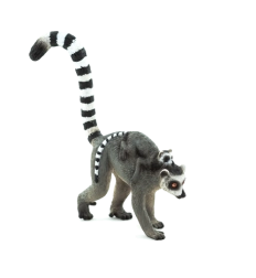 Mojo Lemuri s mladuncem