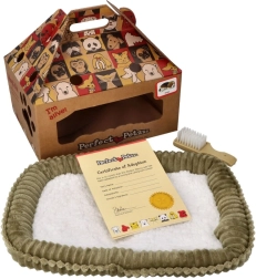 Perfect Petzzz dišući bernski planinski pas za udomljavanje