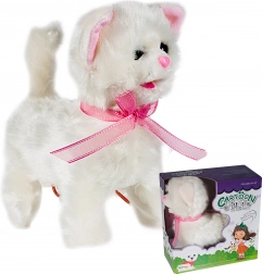 Mačić na povodcu s upravljanjem