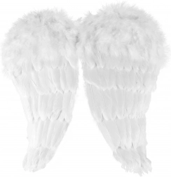 Anđeoska krila s perjem