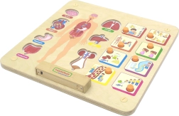 Edukativna ploča ljudskog tijela Masterkidz Montessori