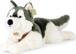 Plišani pas Husky 60 cm EKO PRIJATELJSKI