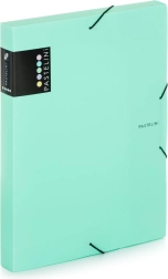 Kutija s gumicom A4 PASTELINI zelena